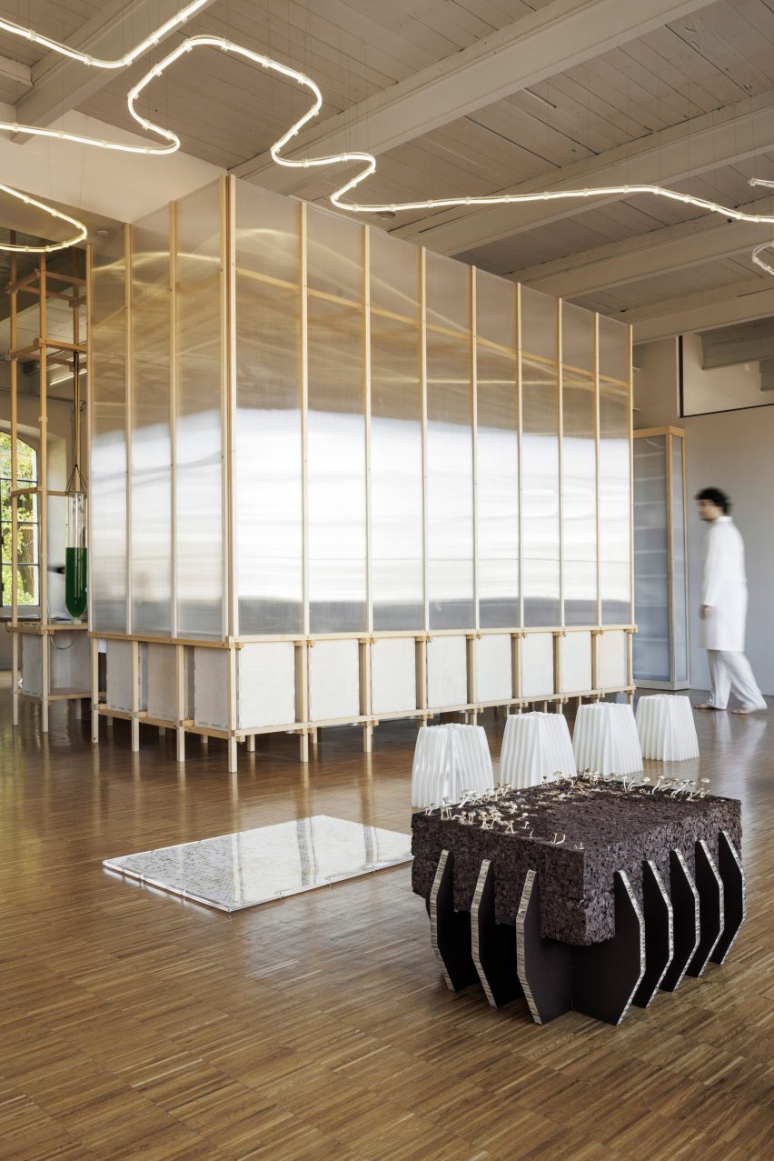 Photo of the algae farm at the centre of EcoLogicStudio's Design Apothecary, a cubic-looking room-within-a-room made from a modular fir wood structure