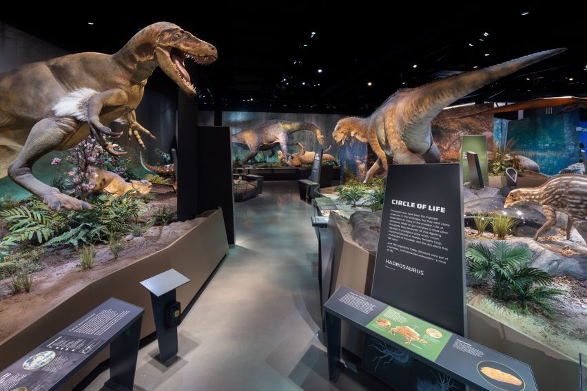 Edelman Fossil Park & Museum