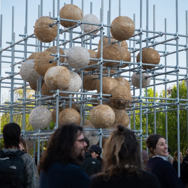 Growing Matter(s) by Henning Larsen