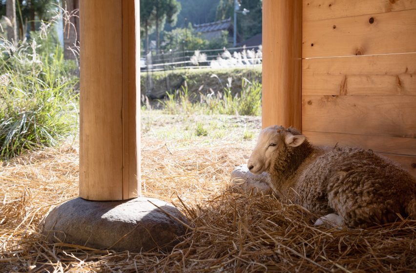 Hitsujigoya sheep pen in Japan by 2m26