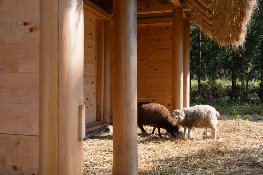 Hitsujigoya sheep pen in Japan by 2m26