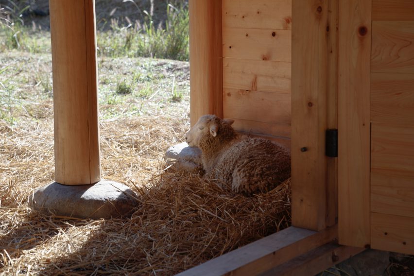 Hitsujigoya sheep pen in Japan by 2m26