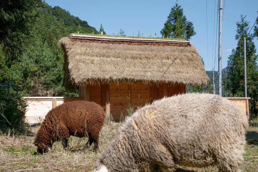 Hitsujigoya sheep pen in Japan by 2m26