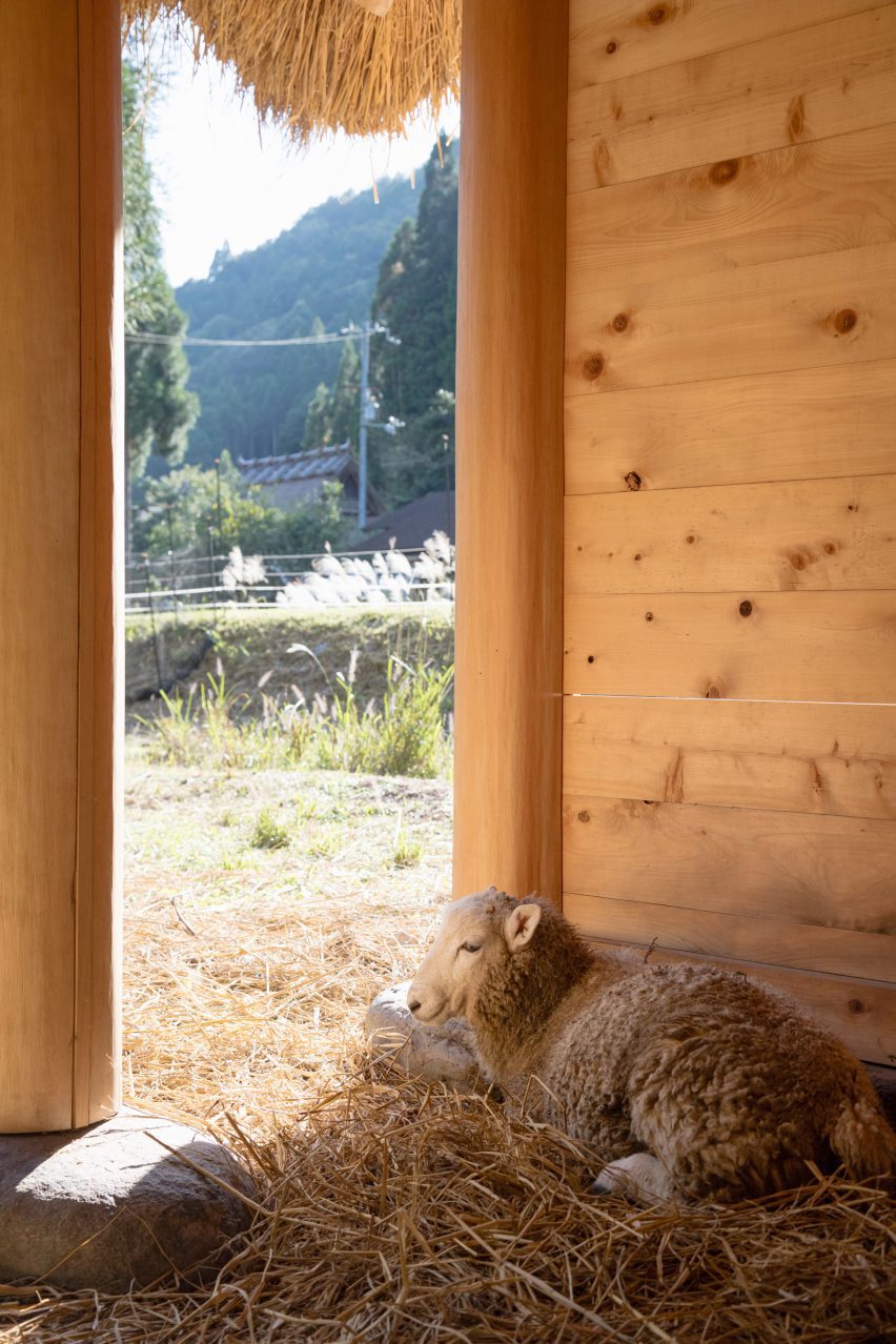 Hitsujigoya sheep pen in Japan by 2m26