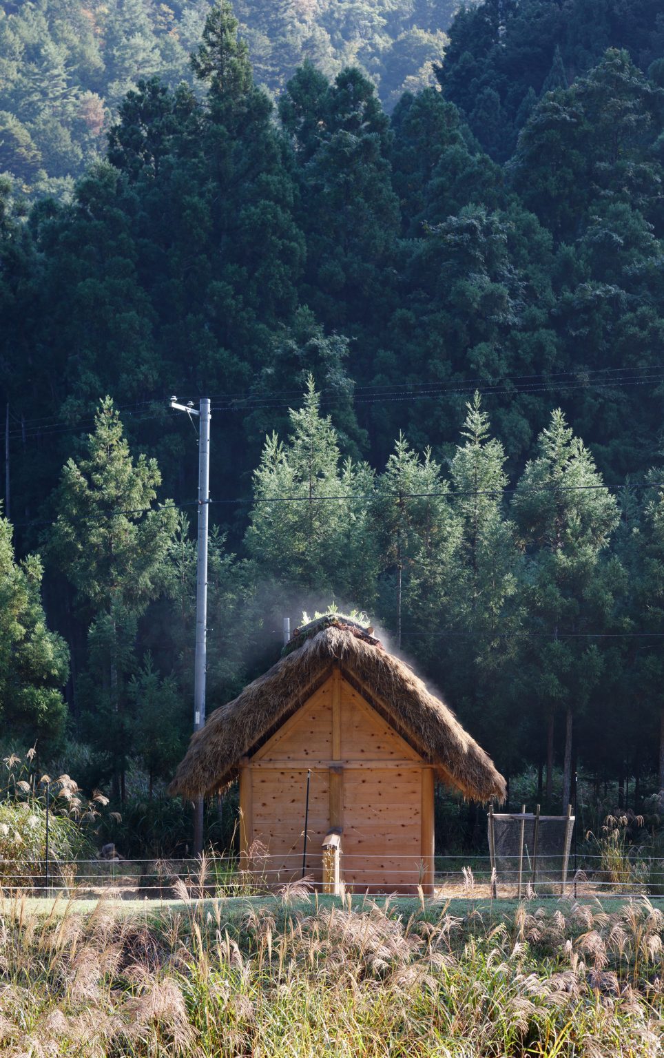 Hitsujigoya sheep pen in Japan by 2m26