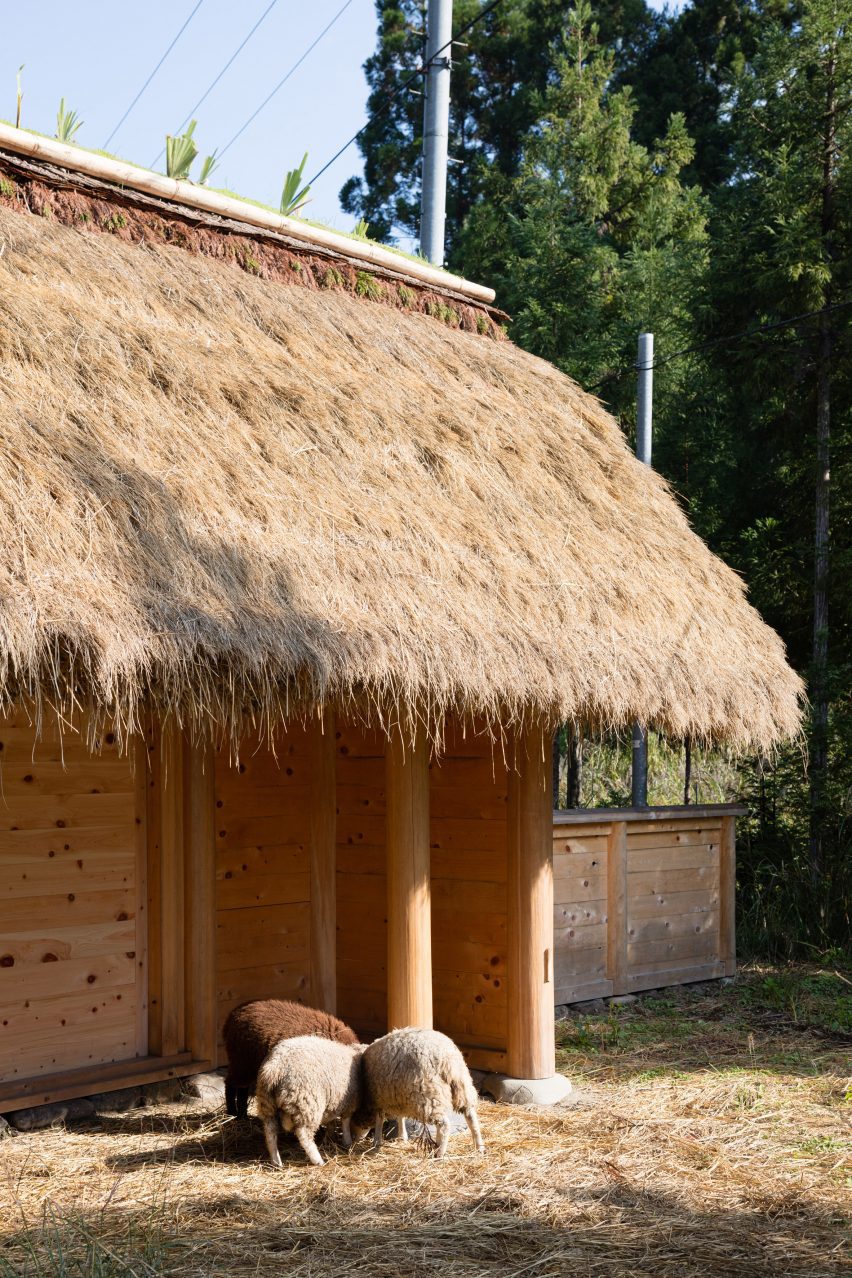 Hitsujigoya sheep pen in Japan by 2m26