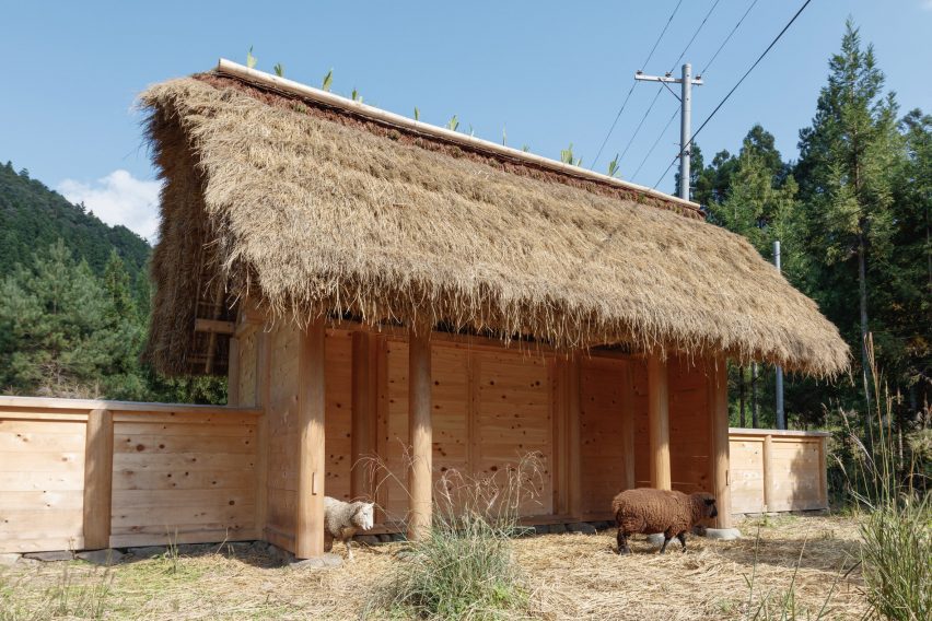 Hitsujigoya sheep pen in Japan by 2m26