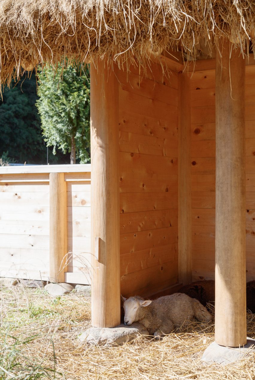 Hitsujigoya sheep pen in Japan by 2m26