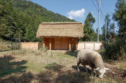 Sheep pen in Japan by 2m26