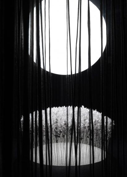 Ropes hanging in front of orb