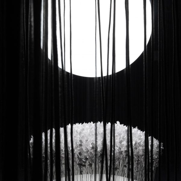 Marc-Antoine Barrois and Antoine Bouillot surround orb with “forest” of ropes in Milan