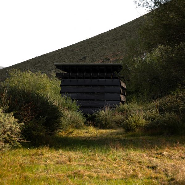 omno lab-shannan-beehive-architecture-1330x1330