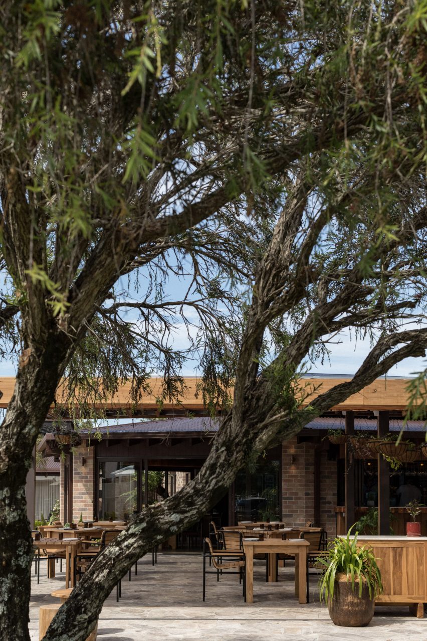 Restaurant and bar viewed through a tree