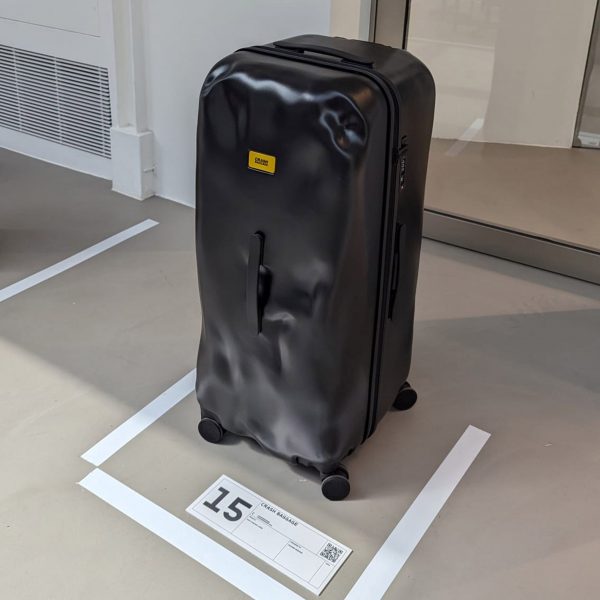 Crash Baggage by Francesco Pavia