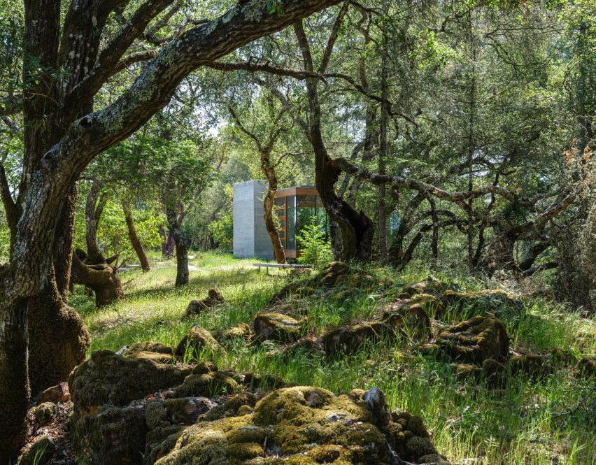 Swatt + Partners Moss Rock