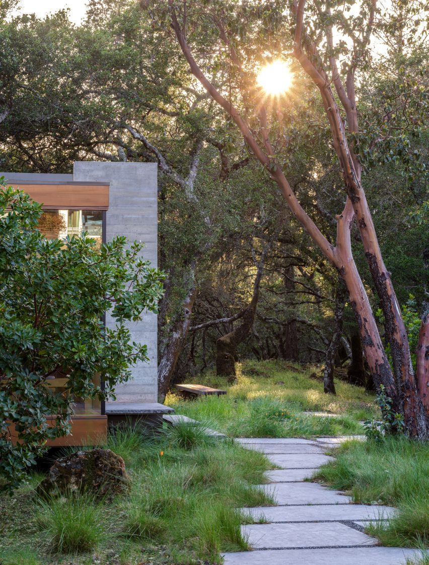 Swatt + Partners Moss Rock