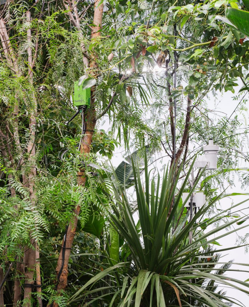 Building Biospheres at the Belgium Pavilion in Venice