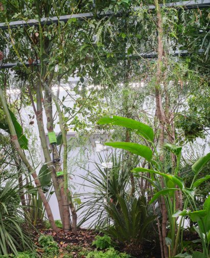 Plant installation