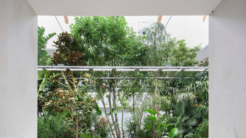 Building Biospheres at the Belgium Pavilion in Venice