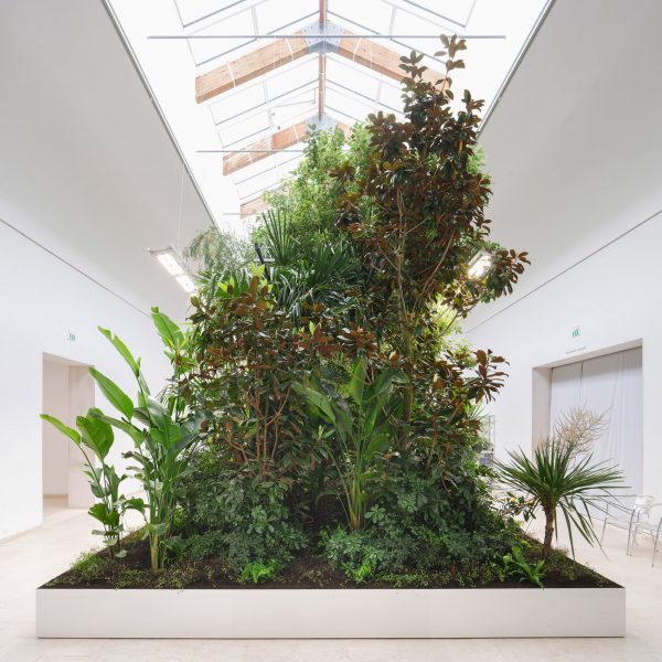 Building Biospheres at the Belgium Pavilion in Venice