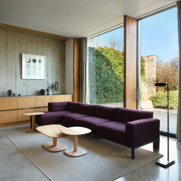Purple sofa against window