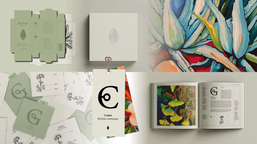 a moodboard displaying assets for a healthcare food brand