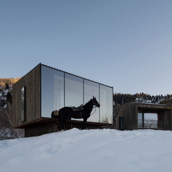 Horse outside wooden cabin