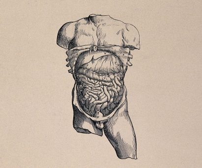 Beatriz Colomina and Mark Wigley exhibition