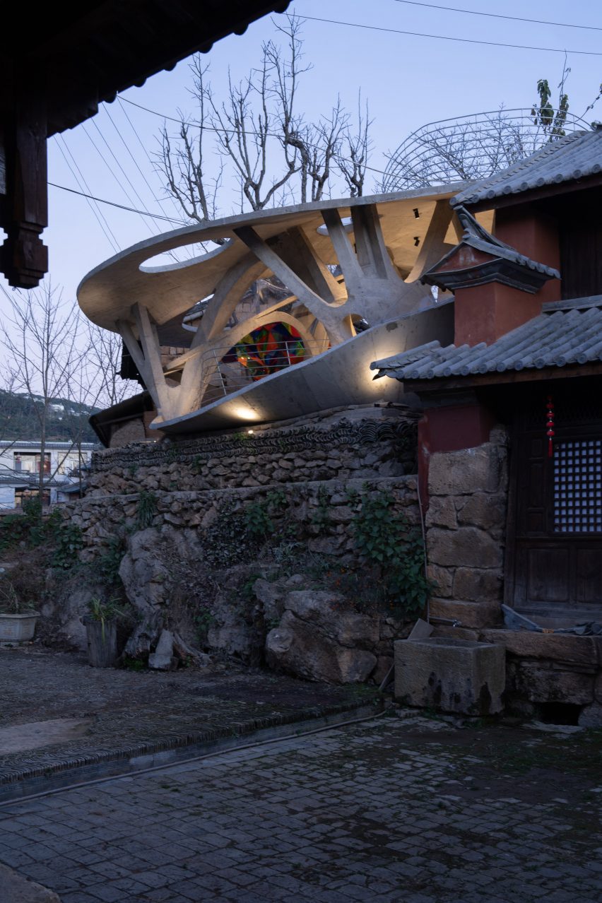 Mushroom Library by Kong Xiangwei Studio