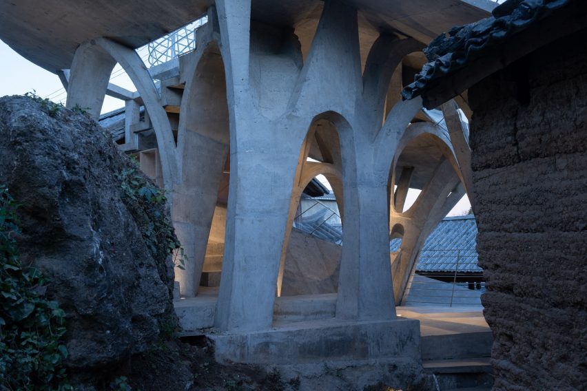 Mushroom Library by Kong Xiangwei Studio