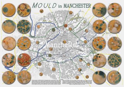 an inforgraphic displaying statistics on the amount of mould in manchester