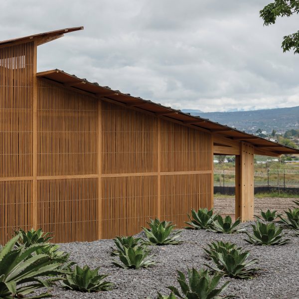 Mezcal Palenque by Estudio ALA