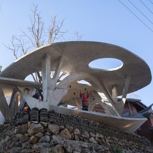 Mushroom Library by Kong Xiangwei Studio