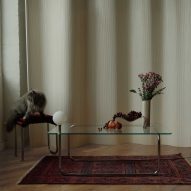 Cat and glass table