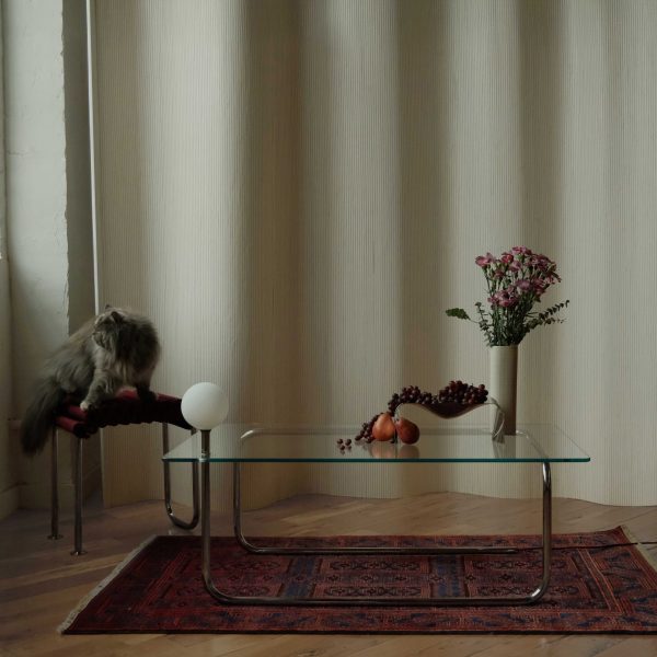 Cat and glass table