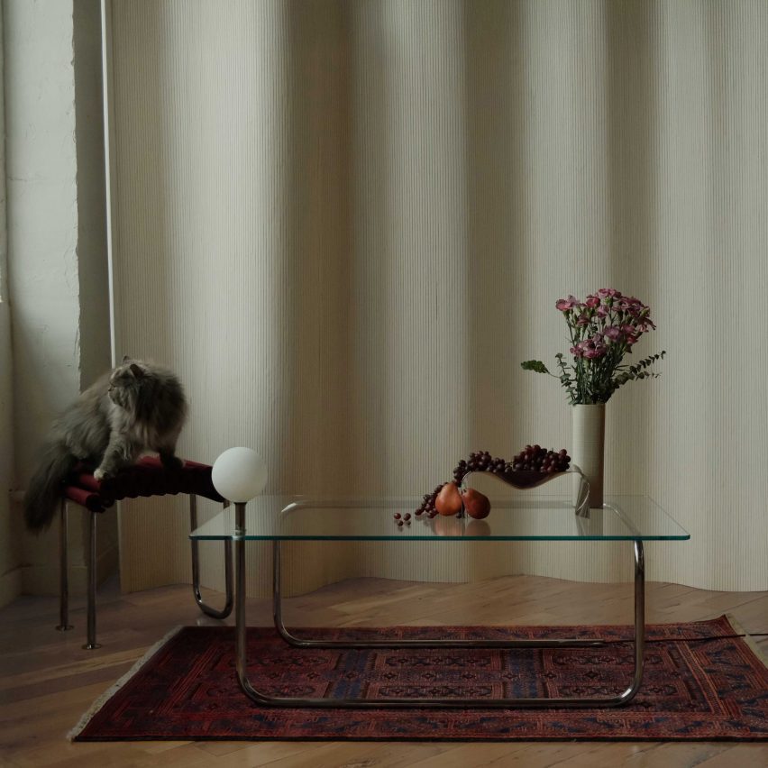 Cat and glass table