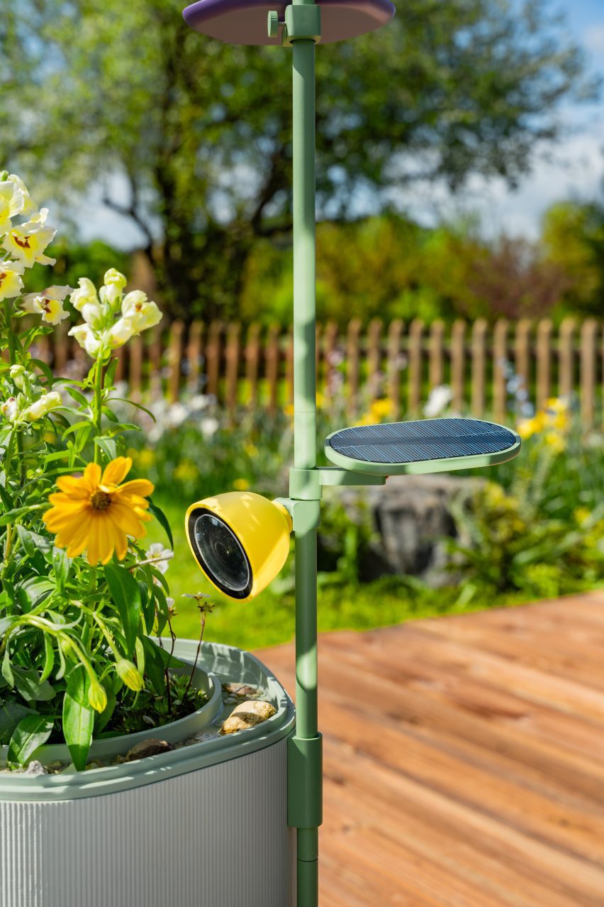 Photo of the Petal camera attached to the Wonder Blocks planter trellis overlooking some flowers