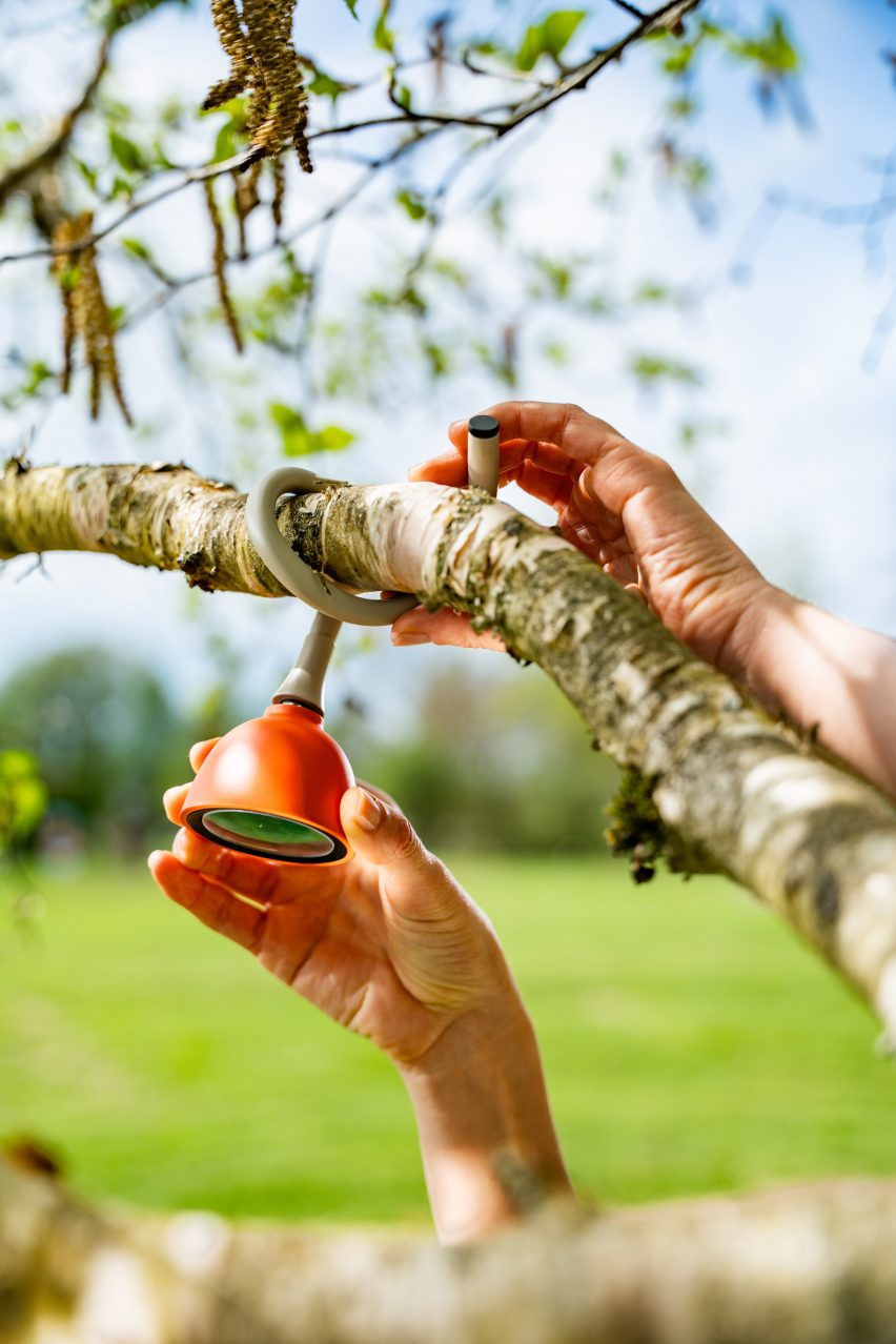 Photo of a person's hands wrapping a small Petal camera with a flexible grip around the branch of a tree