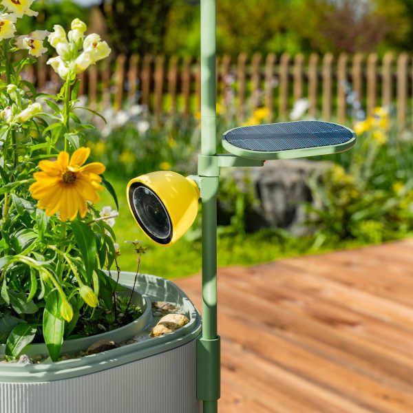 Photo of the Petal camera attached to the Wonder Blocks planter trellis overlooking some flowers