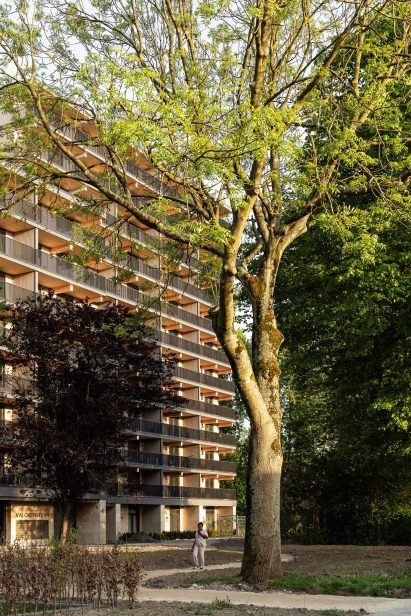Mass-timber apartment building in Rotterdam by Powerhouse Company