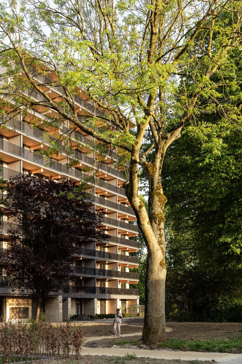 Mass-timber apartment building in Rotterdam by Powerhouse Company