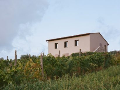 Farmhouse overlooking a vineyard
