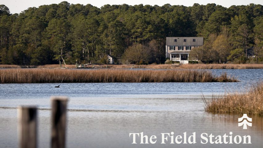 The Field Station