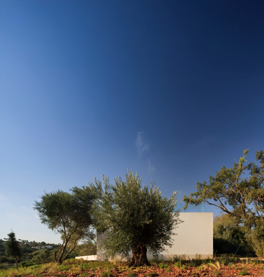 Villa 95 by Fran Silvestre Arquitectos