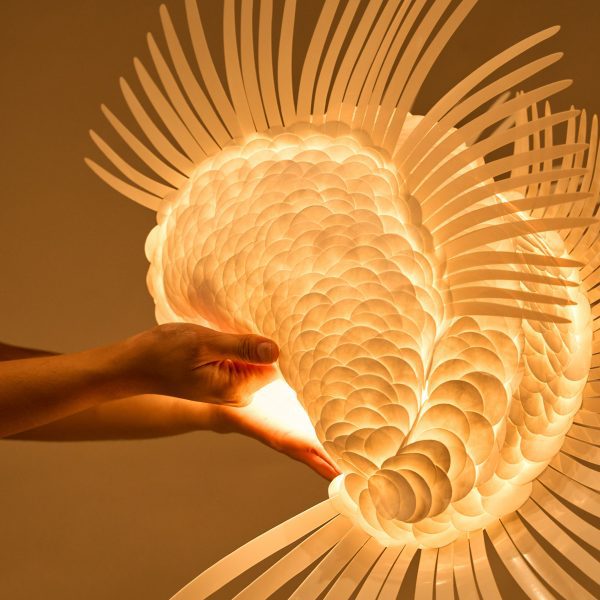 Photo of fish-inspired lamp