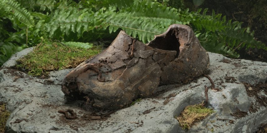 Shoe on a rock