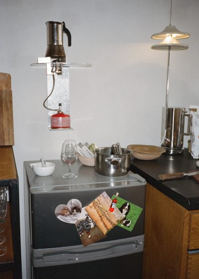 Postcard of Charlotte Taylor's cats on a fridge