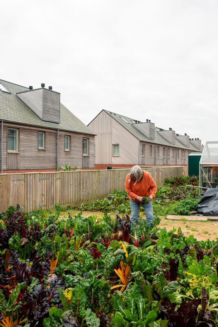 Hazelmead co-housing in Dorset by Barefoot Architects