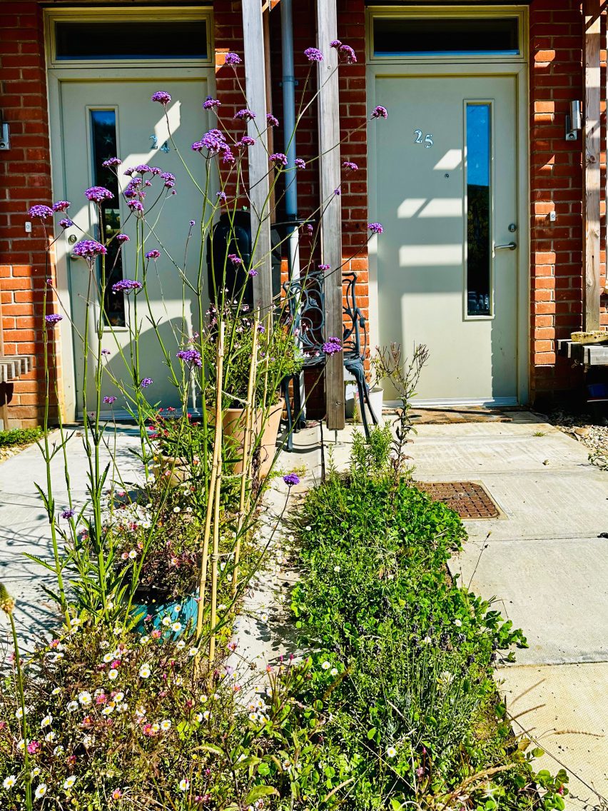 Hazelmead co-housing in Dorset by Barefoot Architects