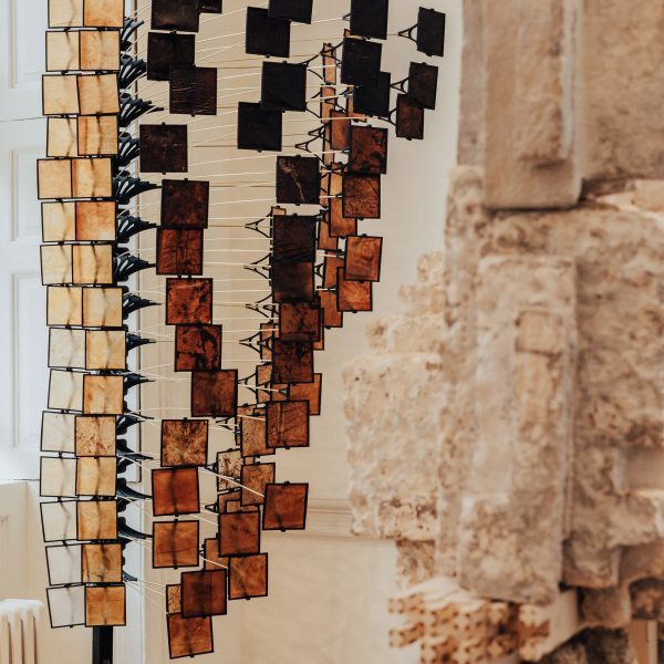Living Assembly: Building With Biology by Northumbria University and UCL